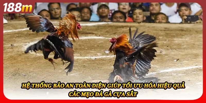 Hệ thống bảo an toàn diện giúp tối ưu hóa hiệu quả các mẹo đá gà cựa sắt